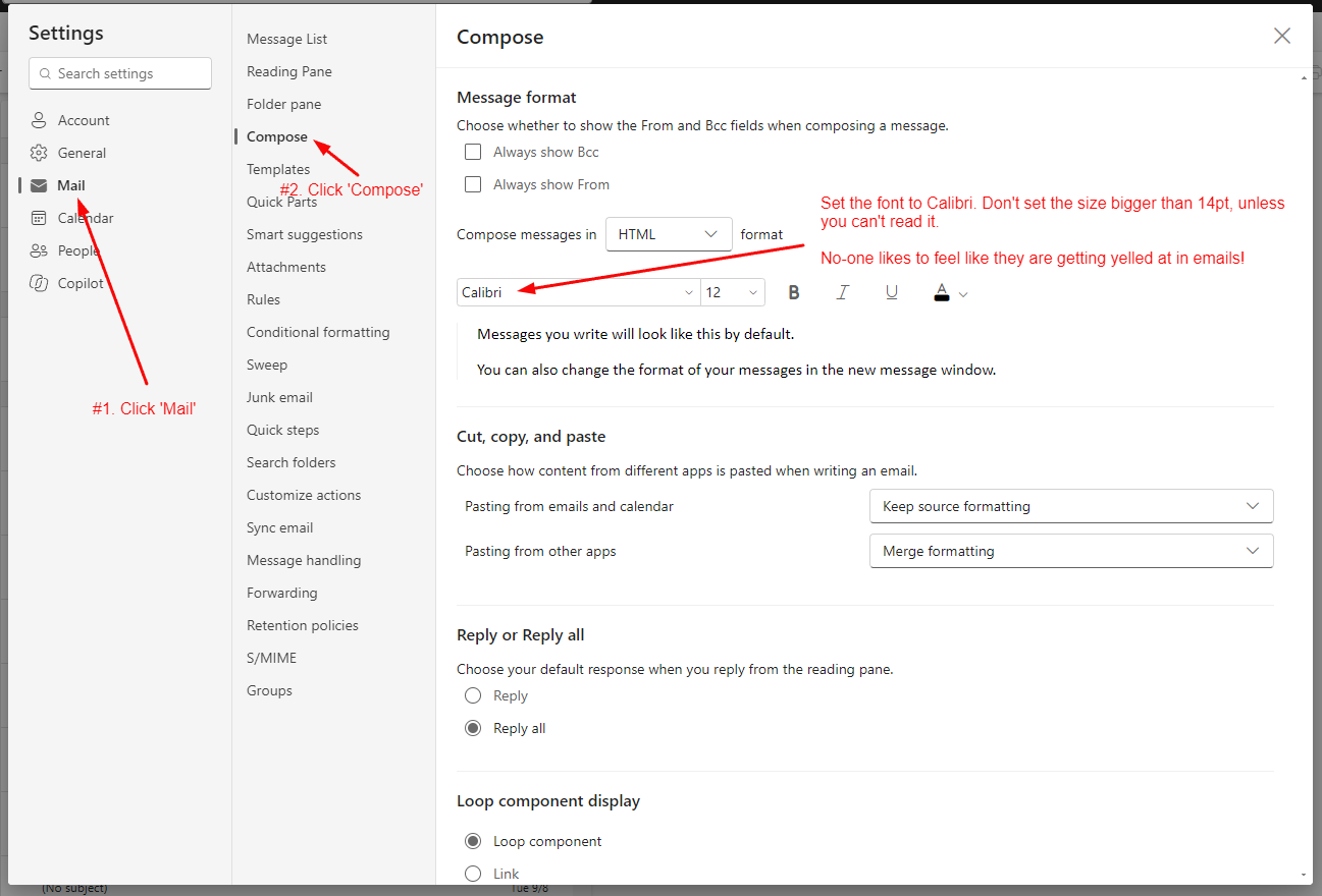 Email settings interface showing options for composing messages, font selection, and formatting guidelines.